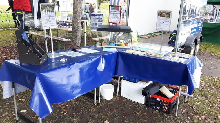 Ehrenamt Aquarienfreunde Ehrenamt Aquarienfreunde